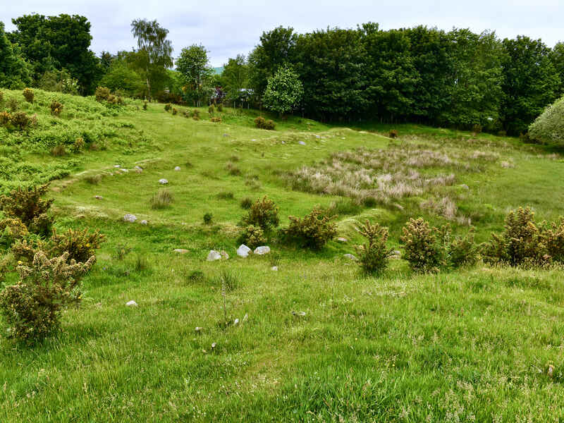 Ferrintosh Mulchaich Distillery 1688 - 1785