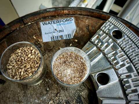 Waterford Fass auf dem Gerste, verarbeitet und unverarbeitet liegt